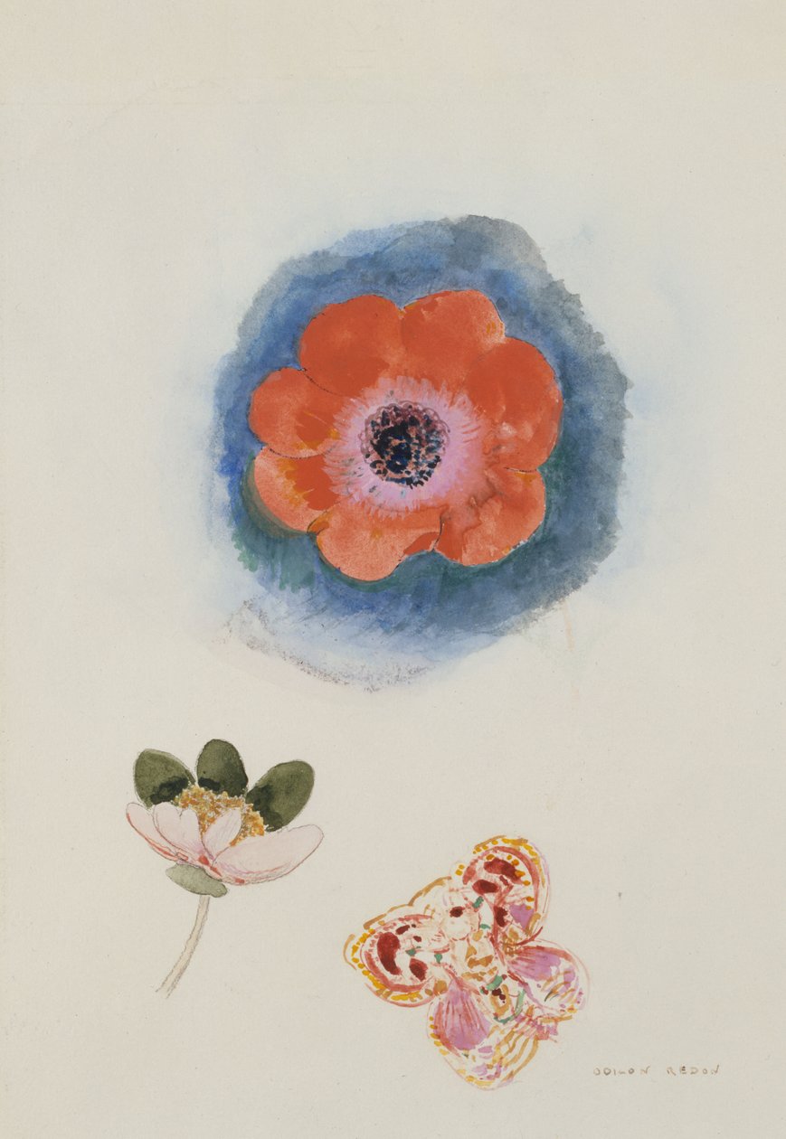 Blumenstudie da Odilon Redon