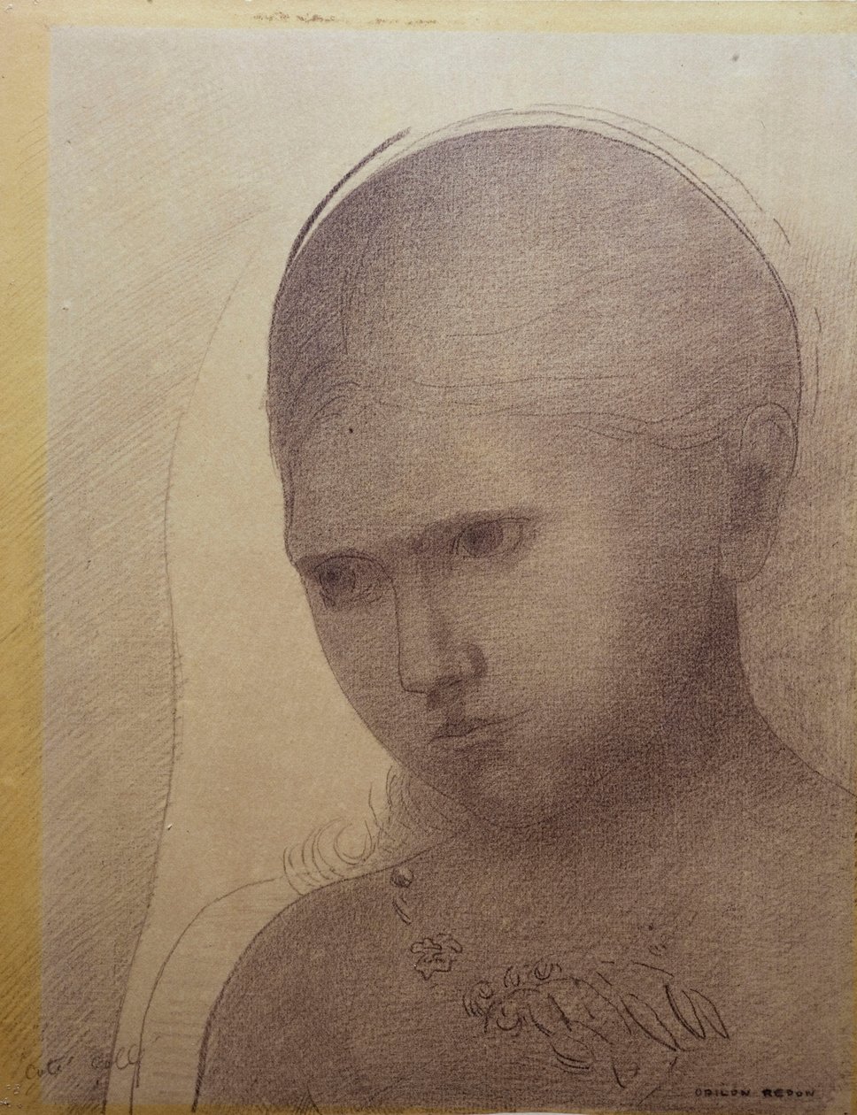 Donna di tre quarti a sinistra da Odilon Redon