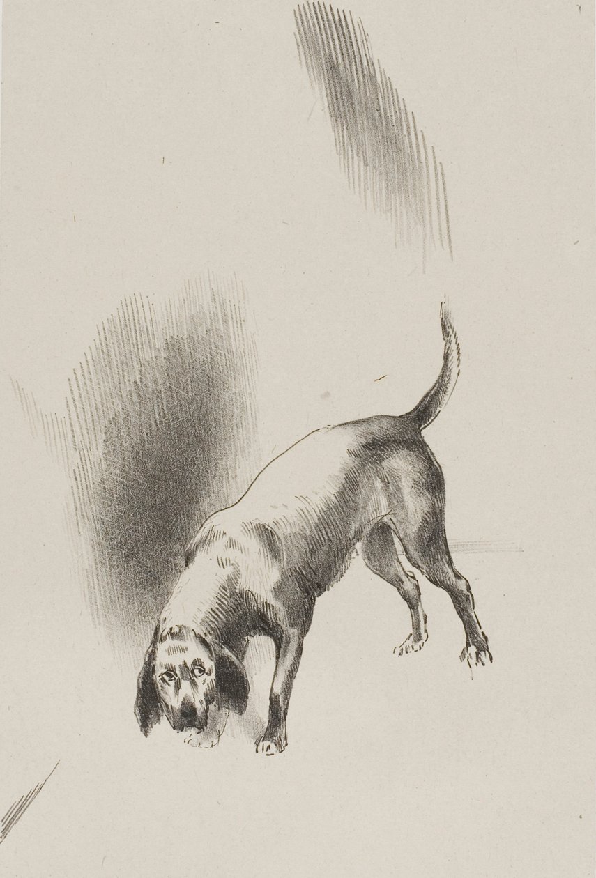 Lui [il cane del narratore] teneva i suoi occhi fissi su di me con uno sguardo così strano, tavola 3 di 6 da Odilon Redon