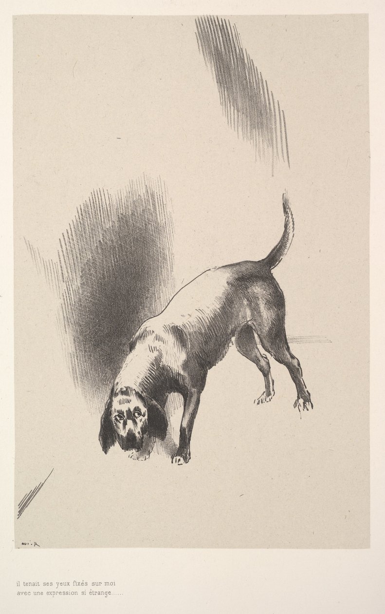 Mi fissò con uno sguardo così strano, 1896 da Odilon Redon