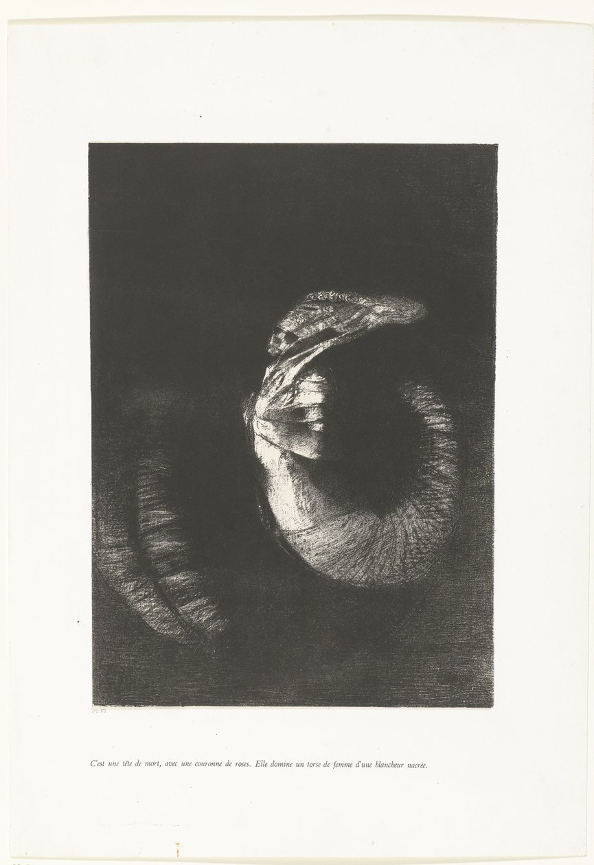È un teschio con una corona di rose (dettaglio) da Odilon Redon
