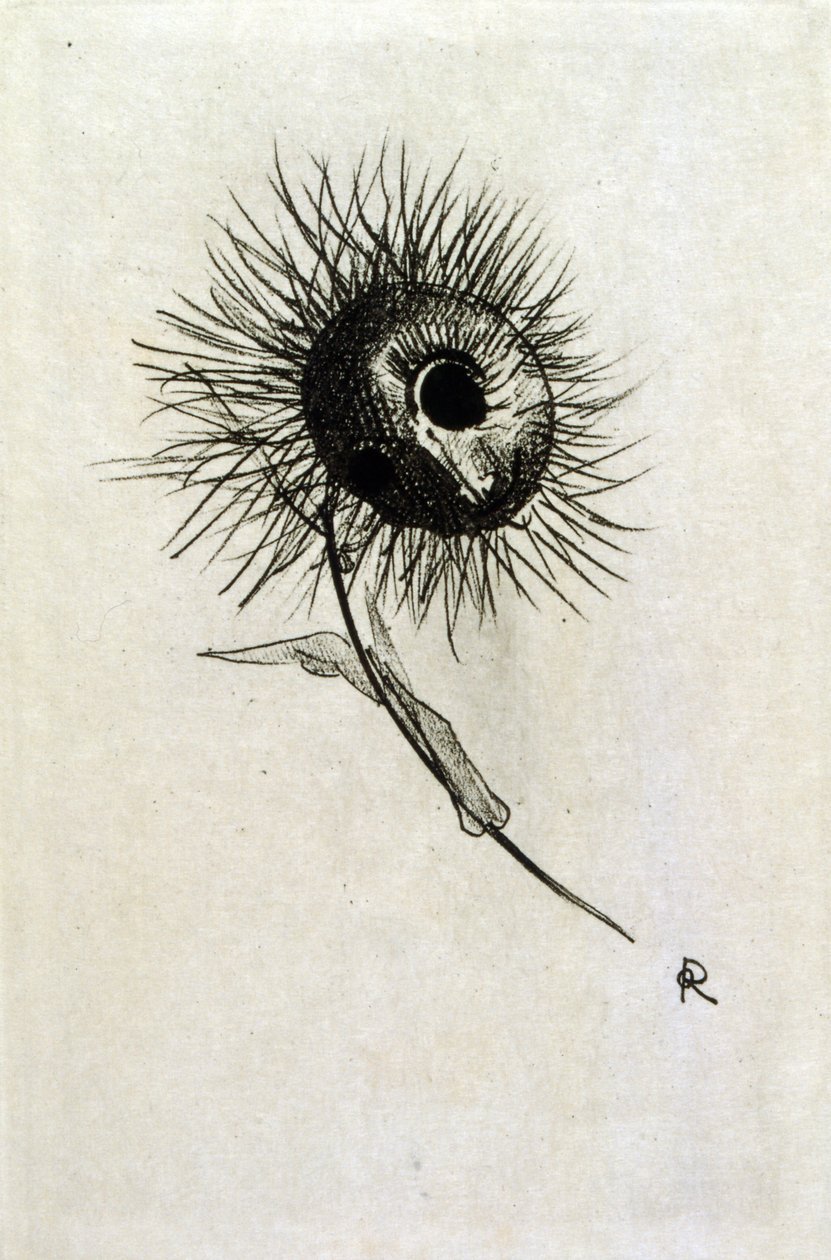 Illustrazione per 