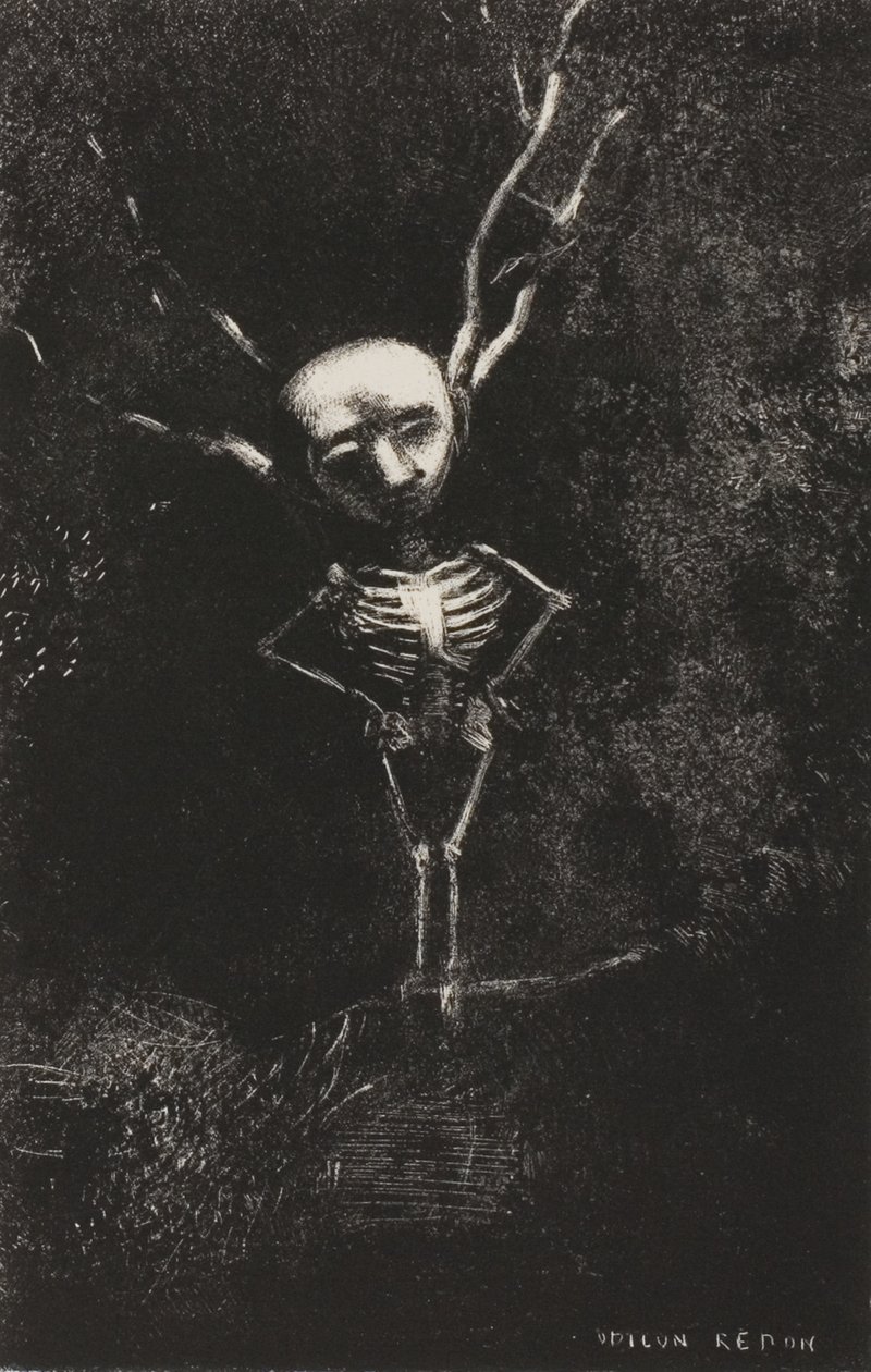 Nel labirinto dei rami, apparve la figura pallida, tavola 2 di 7 da Odilon Redon