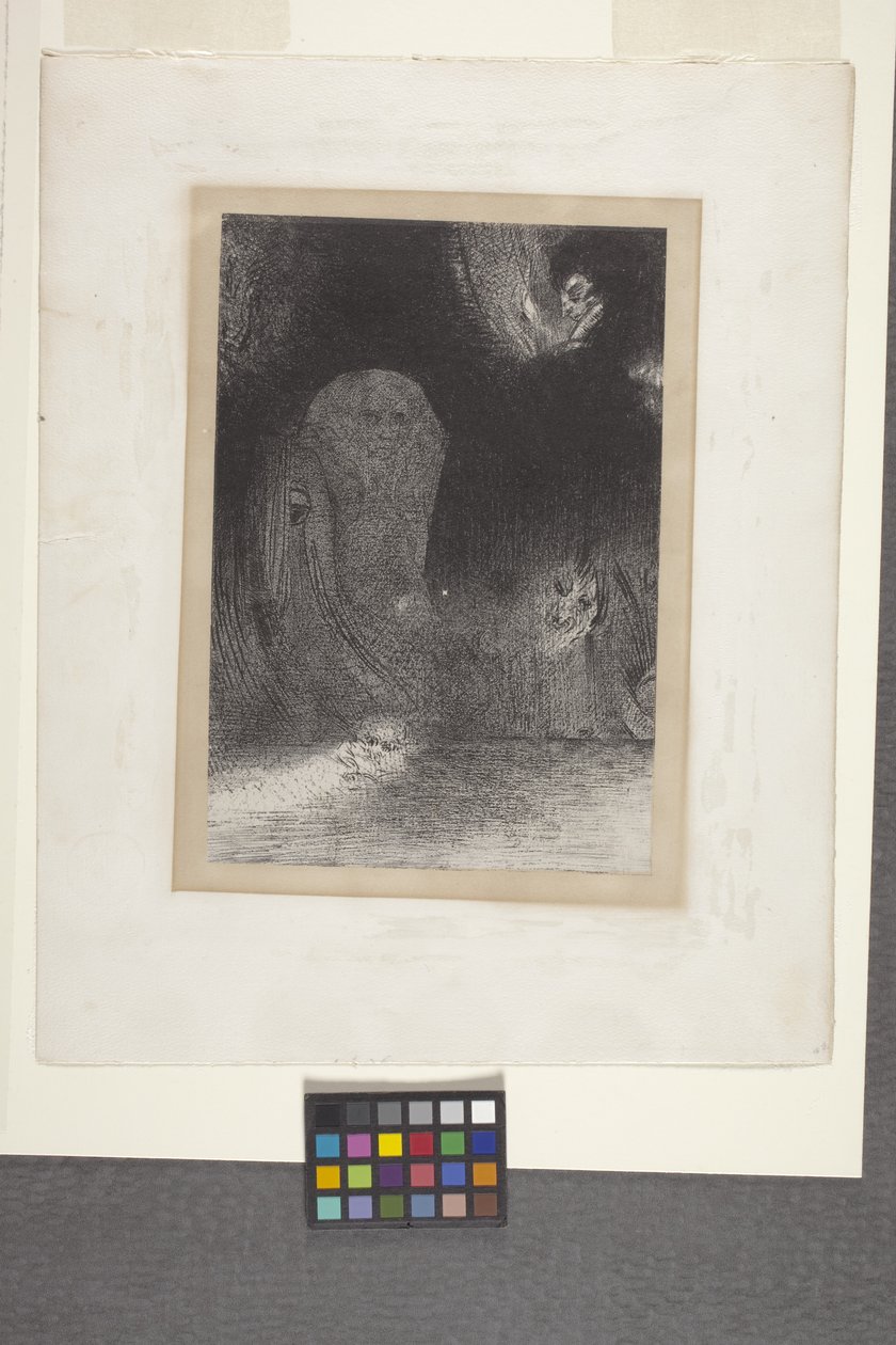 Ho visto qualche volta nel cielo da Odilon Redon