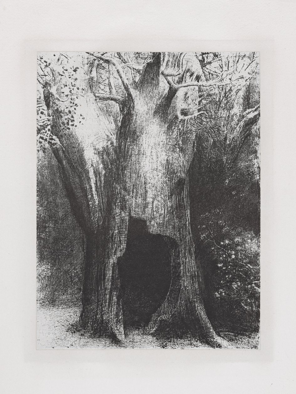 Mi sono immerso nella solitudine da Odilon Redon