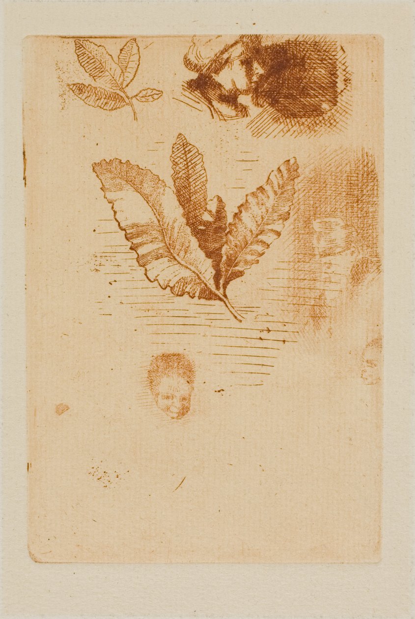 Schizzi da Odilon Redon