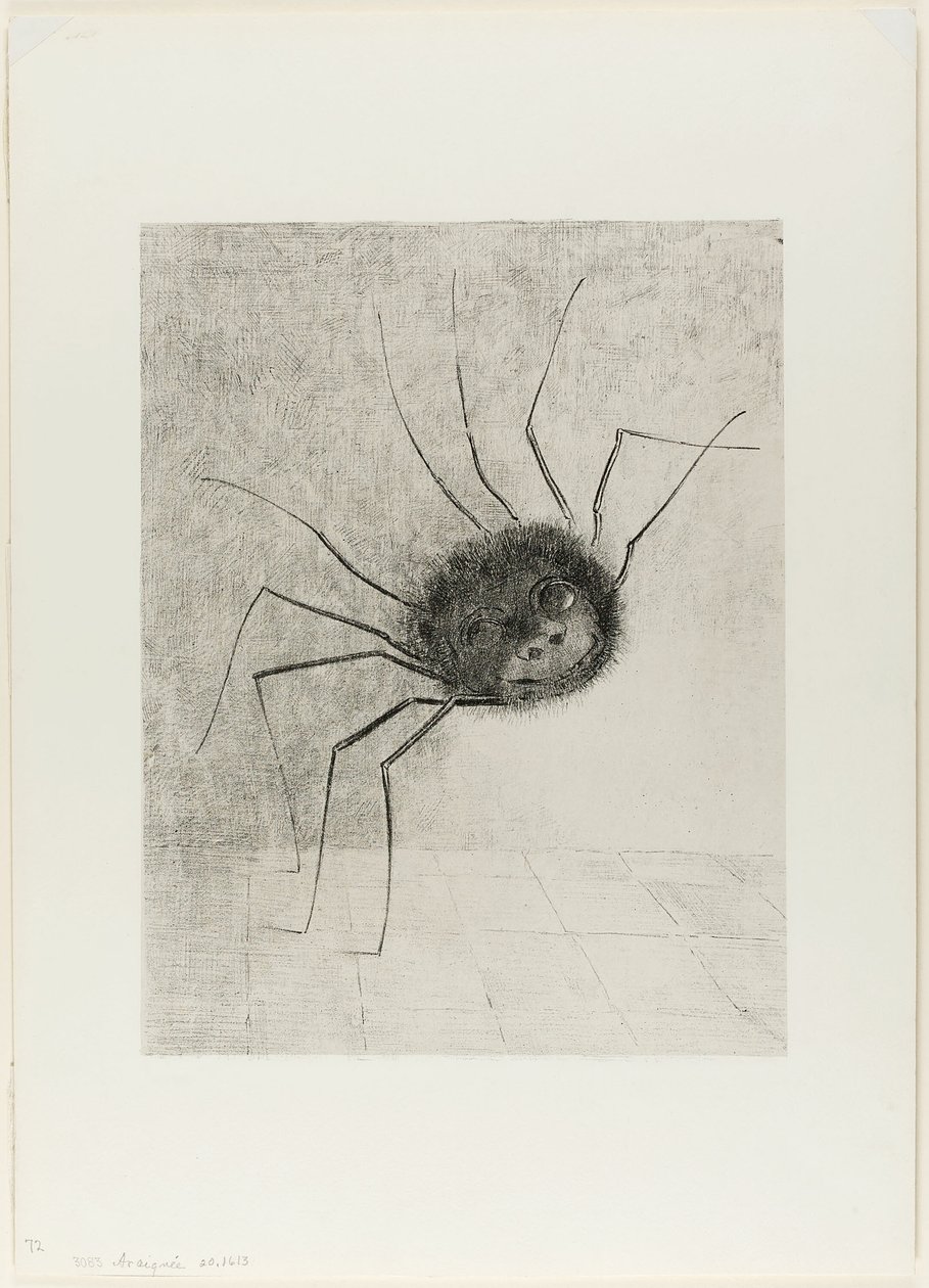 Ragno da Odilon Redon