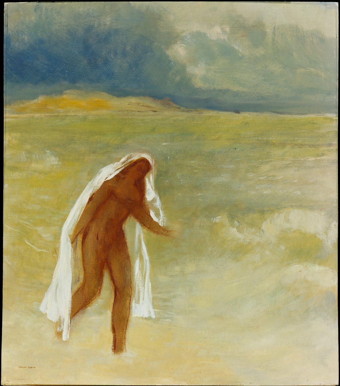 Die Geburt der Venus da Odilon Redon