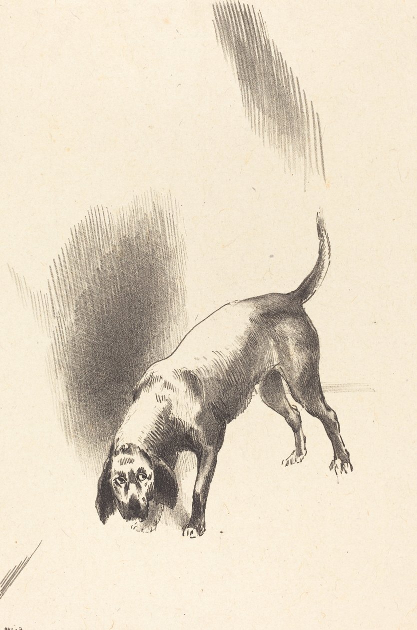 Il cane da Odilon Redon