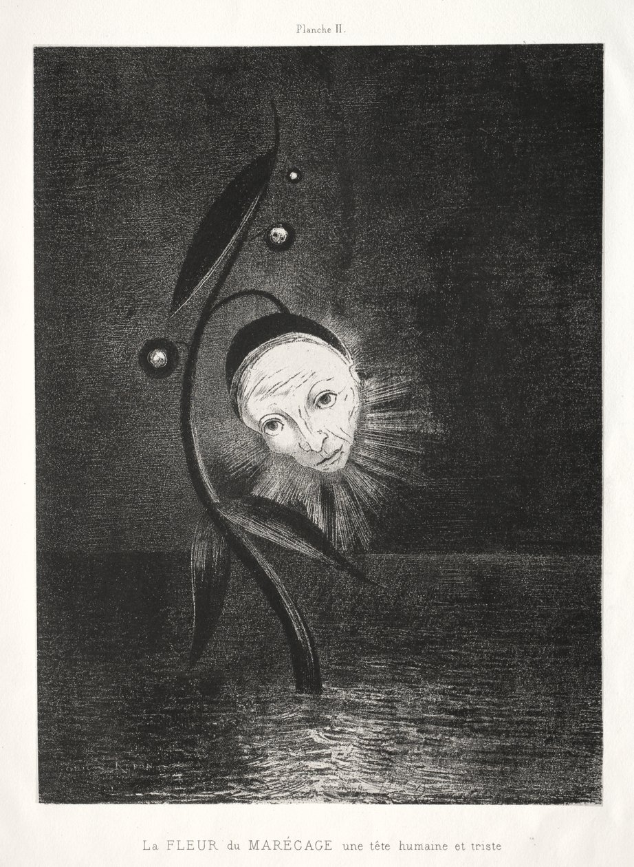 Il fiore della palude, una triste testa umana da Odilon Redon