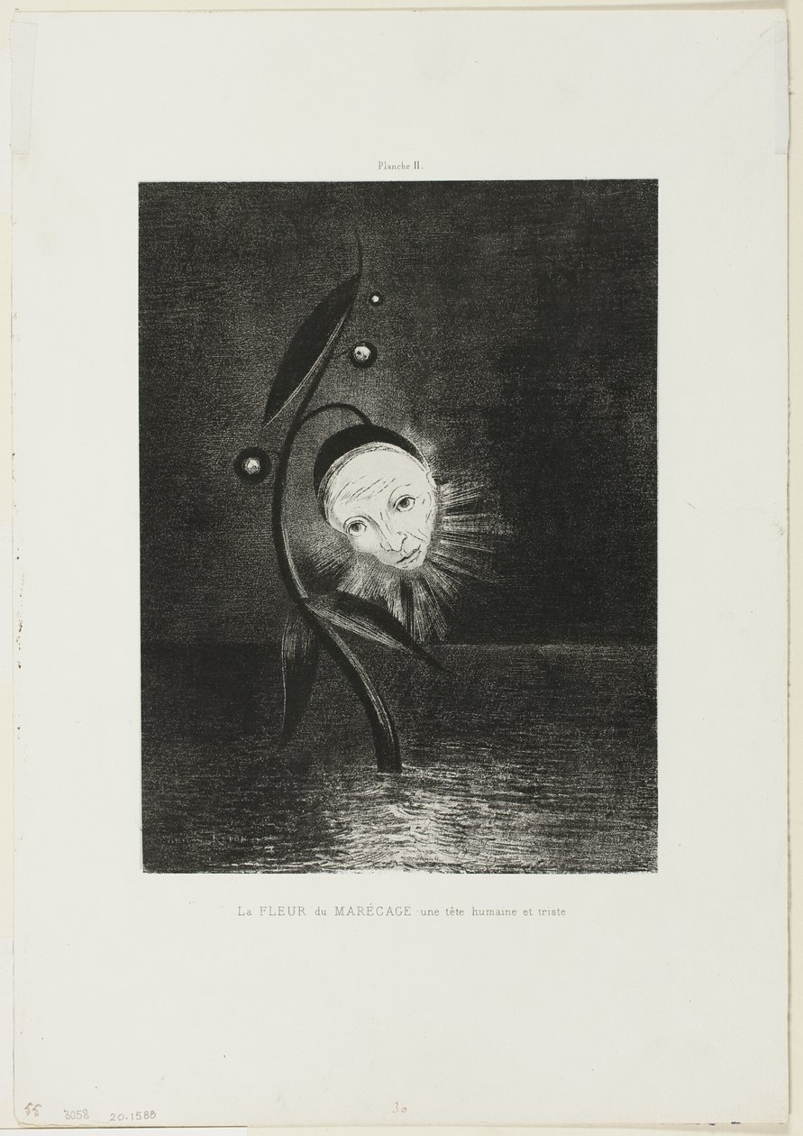 Il fiore della palude, una triste testa umana, tavola 2 di 6 da Odilon Redon