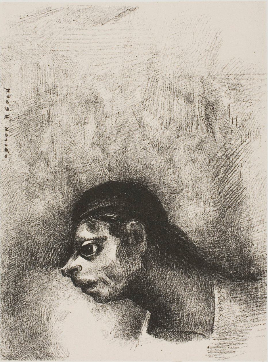 Attraverso la crepa nel muro, fu proiettata la testa di un morto, da Il giurato da Odilon Redon
