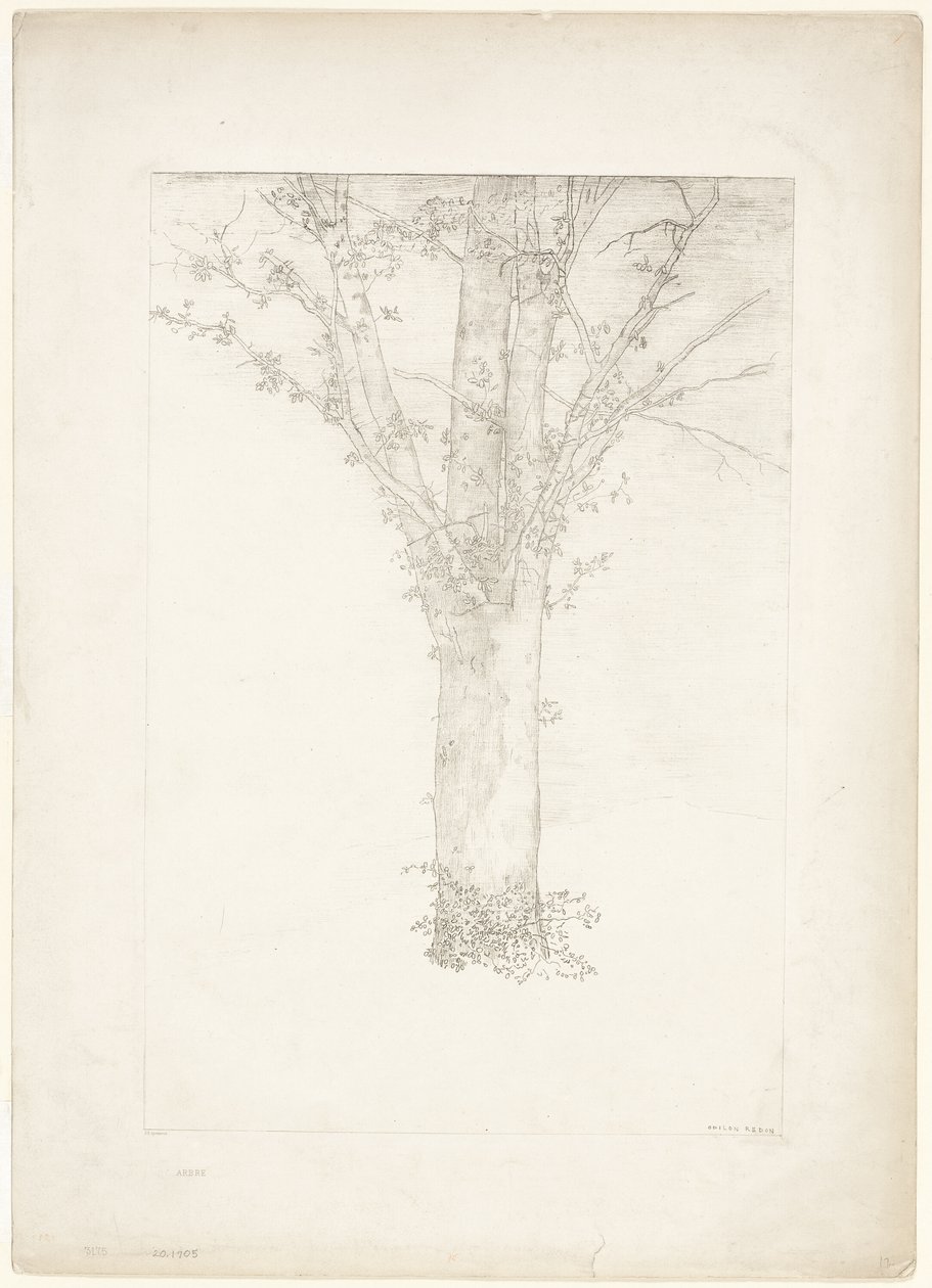 Albero da Odilon Redon
