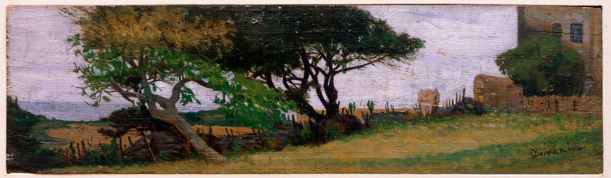 Paesaggio vicino a Castiglioncello, Italia da Odoardo Borrani