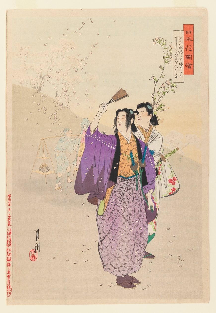 Dandy ammirano i fiori di ciliegio cadenti dalla serie Immagini di giardini fioriti, 1893 da Ogata Gekko