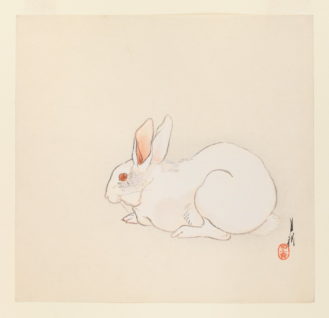 Coniglio bianco, c.1890-1910 da Ogata Gekko