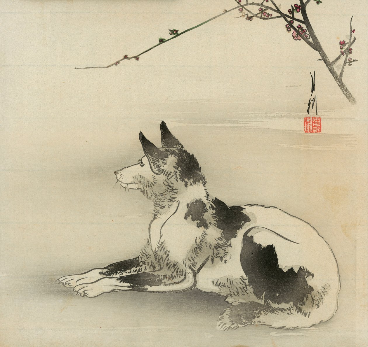 Cane bianco e nero da Ogata Gekko