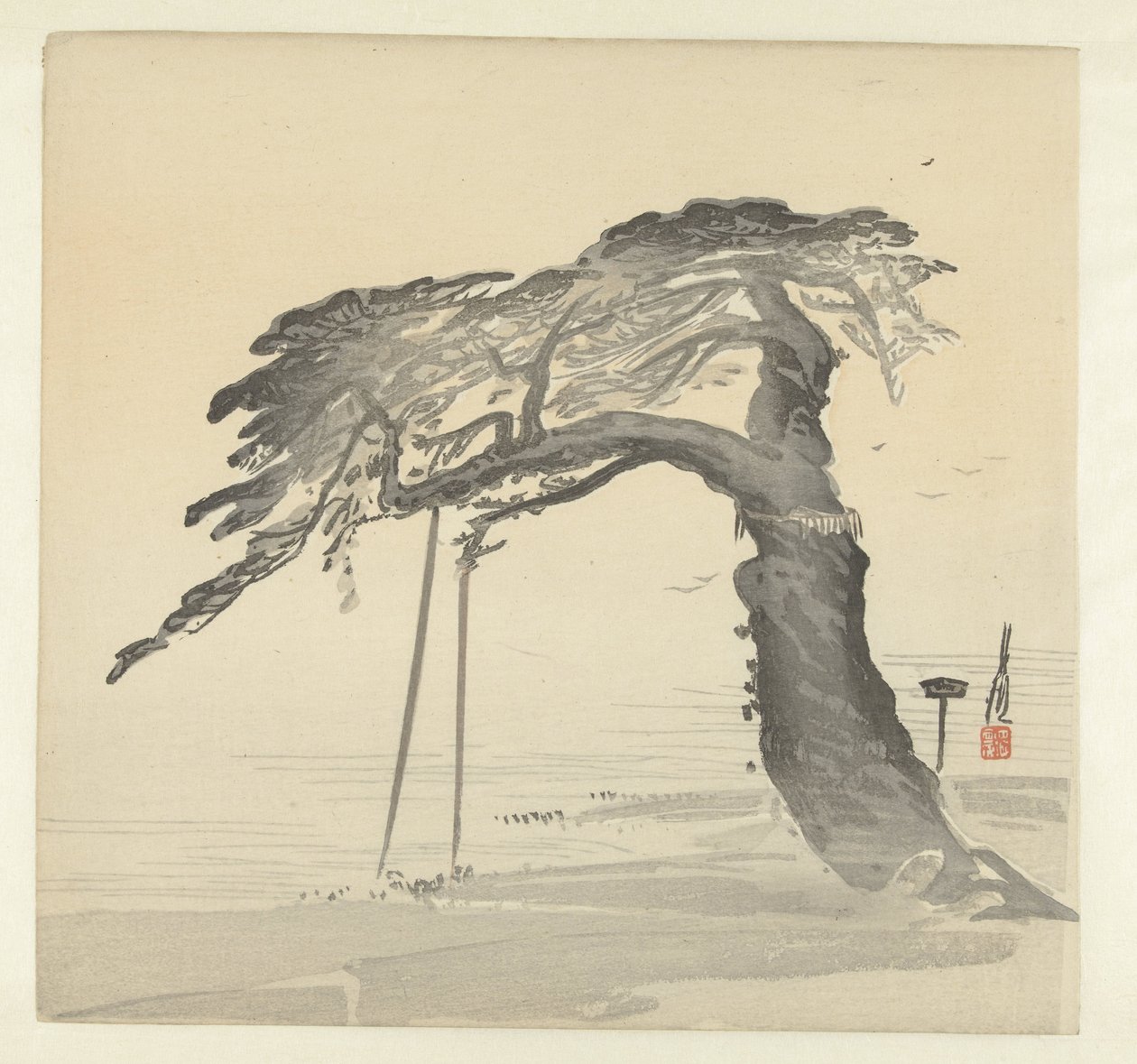 Vecchio pino da Ogata Gekko