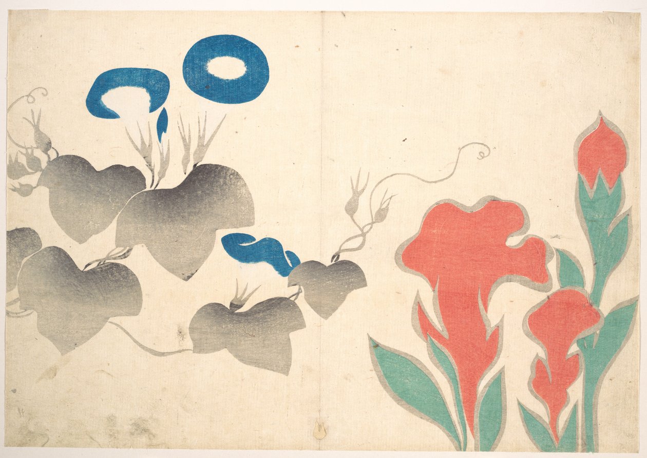 Disegno di convolvoli e altri fiori da Ogata Korin
