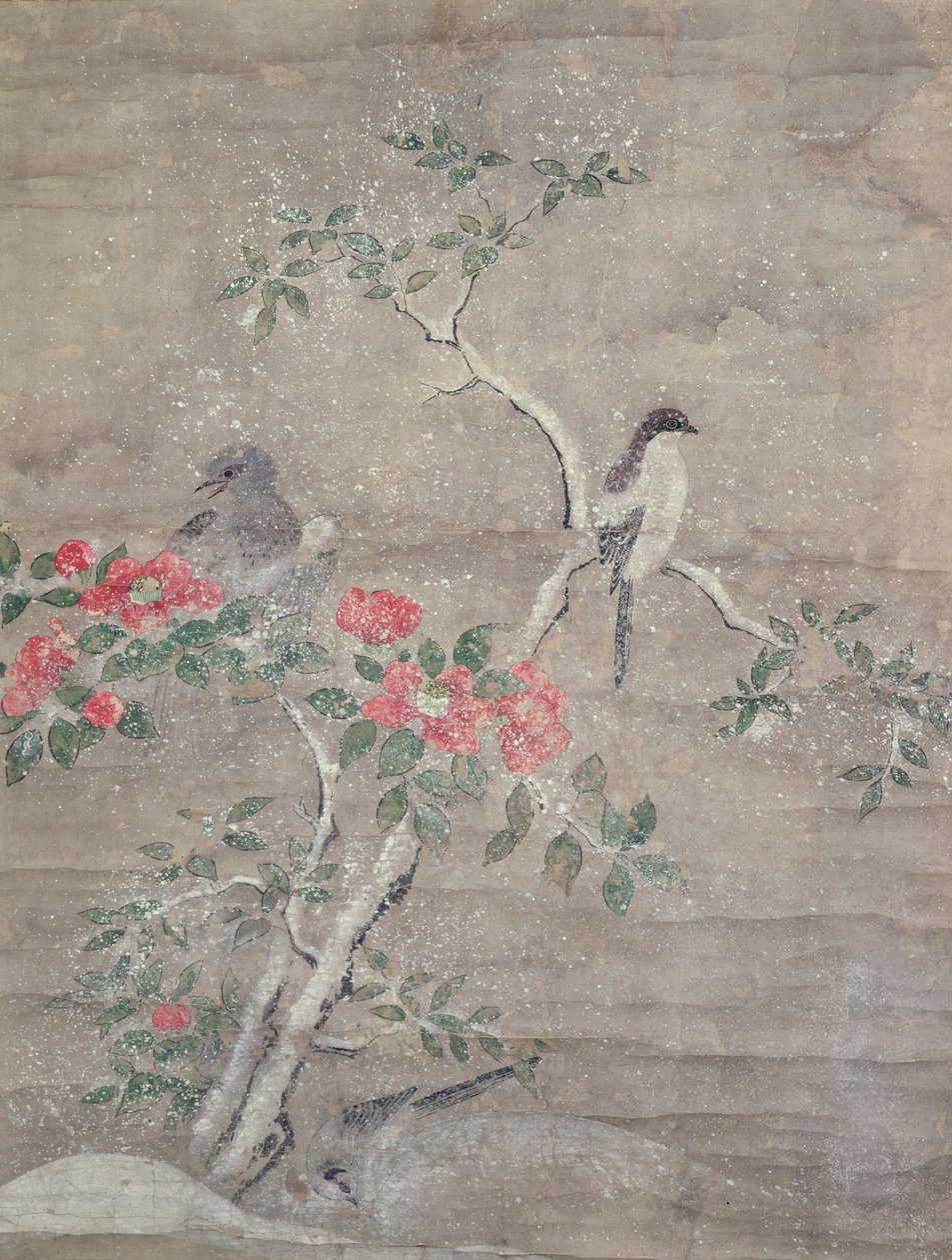 Uccelli e camelia nella neve, c.1700 da Ogawa Haritsu
