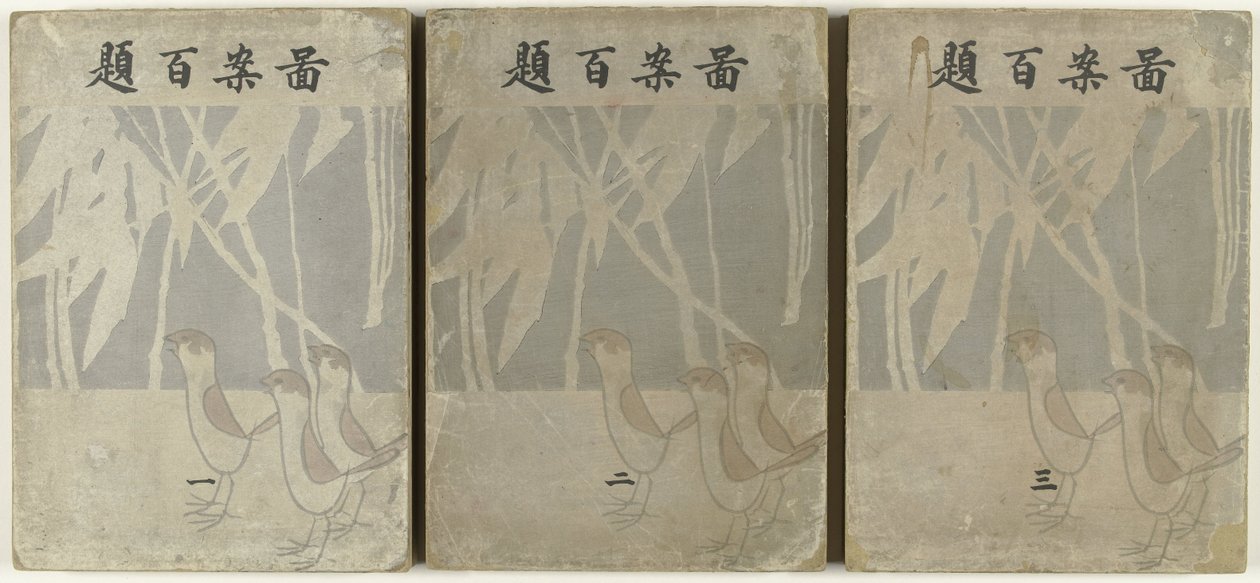 Cento disegni da Ogino Issui