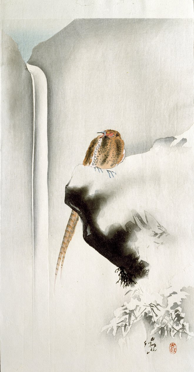 Un fagiano su un bordo di scogliera, con una cascata sullo sfondo da Ohara Koson