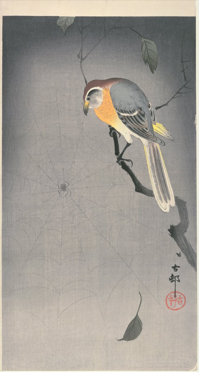 Uccello su un ramo che osserva un ragno, c. primi 1900 da Ohara Koson