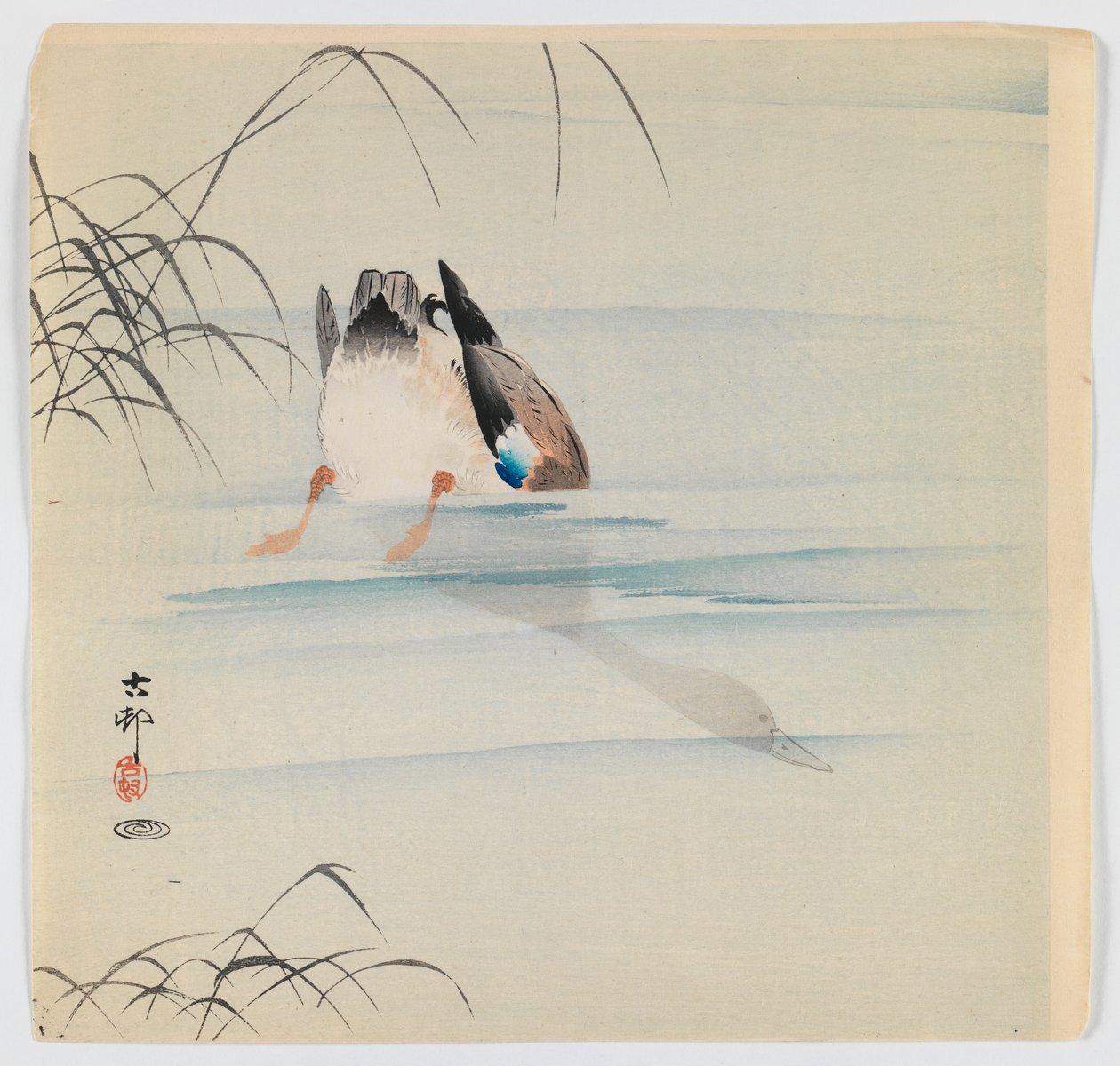 Germano reale che si tuffa, c.1910 da Ohara Koson