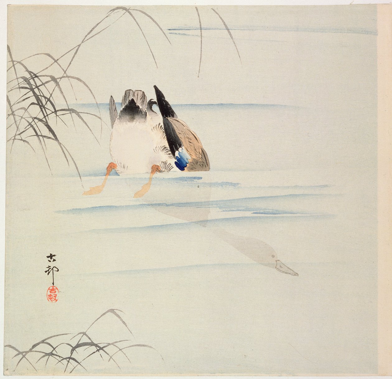 Anatre che si tuffano, c. primi anni del 1900 da Ohara Koson