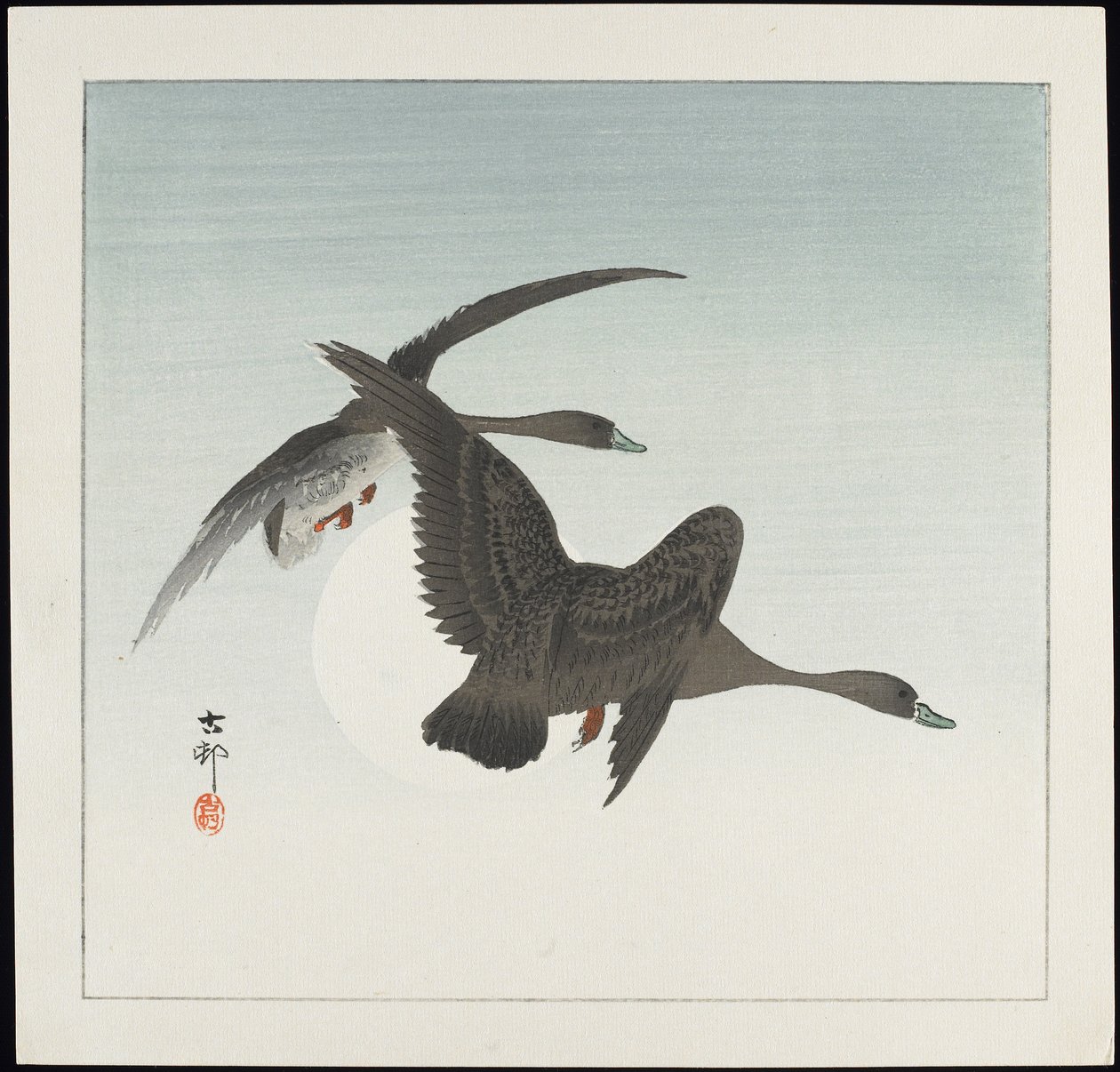 Oche in volo da Ohara Koson