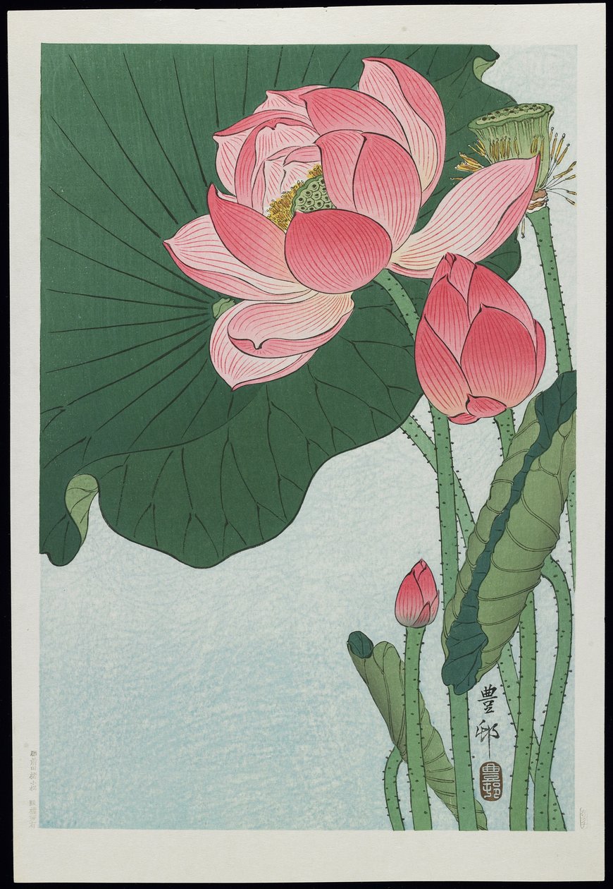 Loto, anni 1930 da Ohara Koson