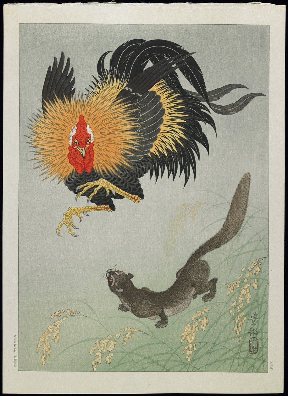 Gallo e donnola, anni 1930 da Ohara Koson
