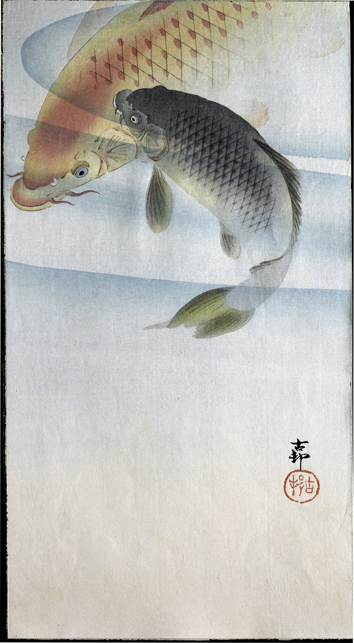 Due carpe in un fiume, 1907 da Ohara Koson