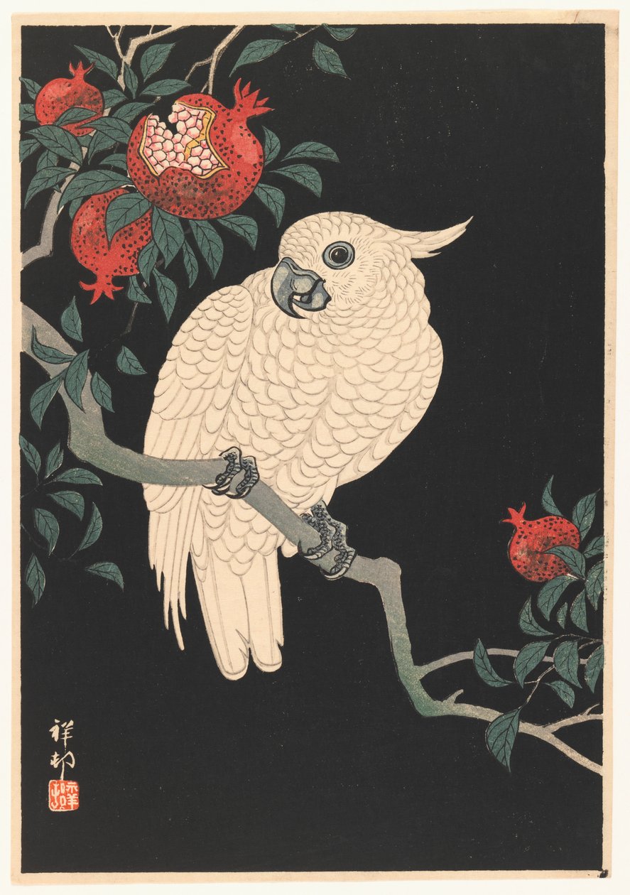 Pappagallo bianco e melograno, 1927-1989 da Ohara Koson