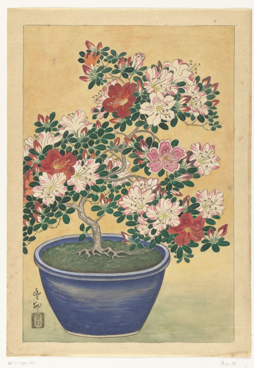 Azalea in fiore in vaso blu da Ohara Koson (signed by artist)