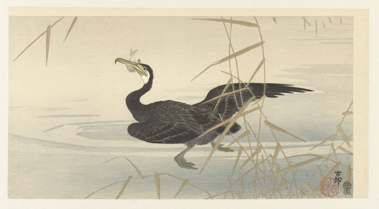 Cormorano con pesce da Ohara Koson