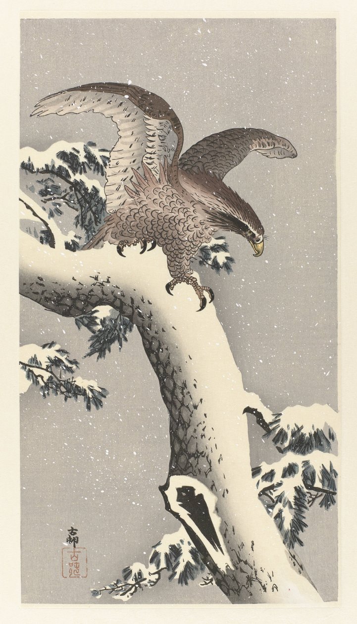Aquila su pino innevato da Ohara Koson