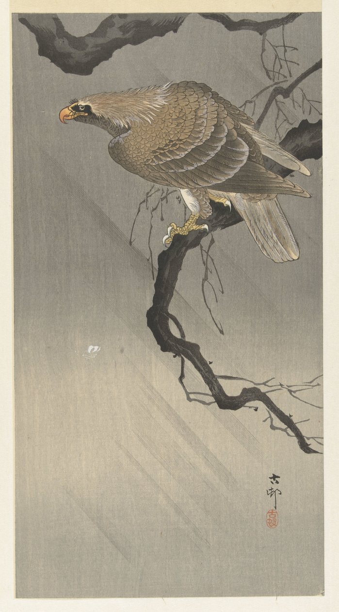 Aquila su ramo da Ohara Koson