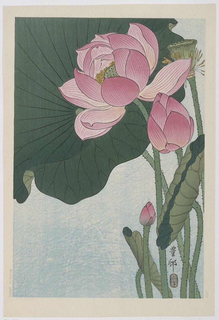 Fiori di loto in fiore da Ohara Koson