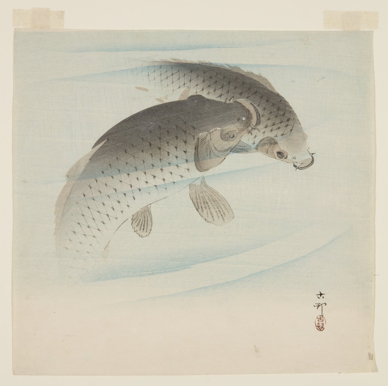 Carpa da Ohara Koson