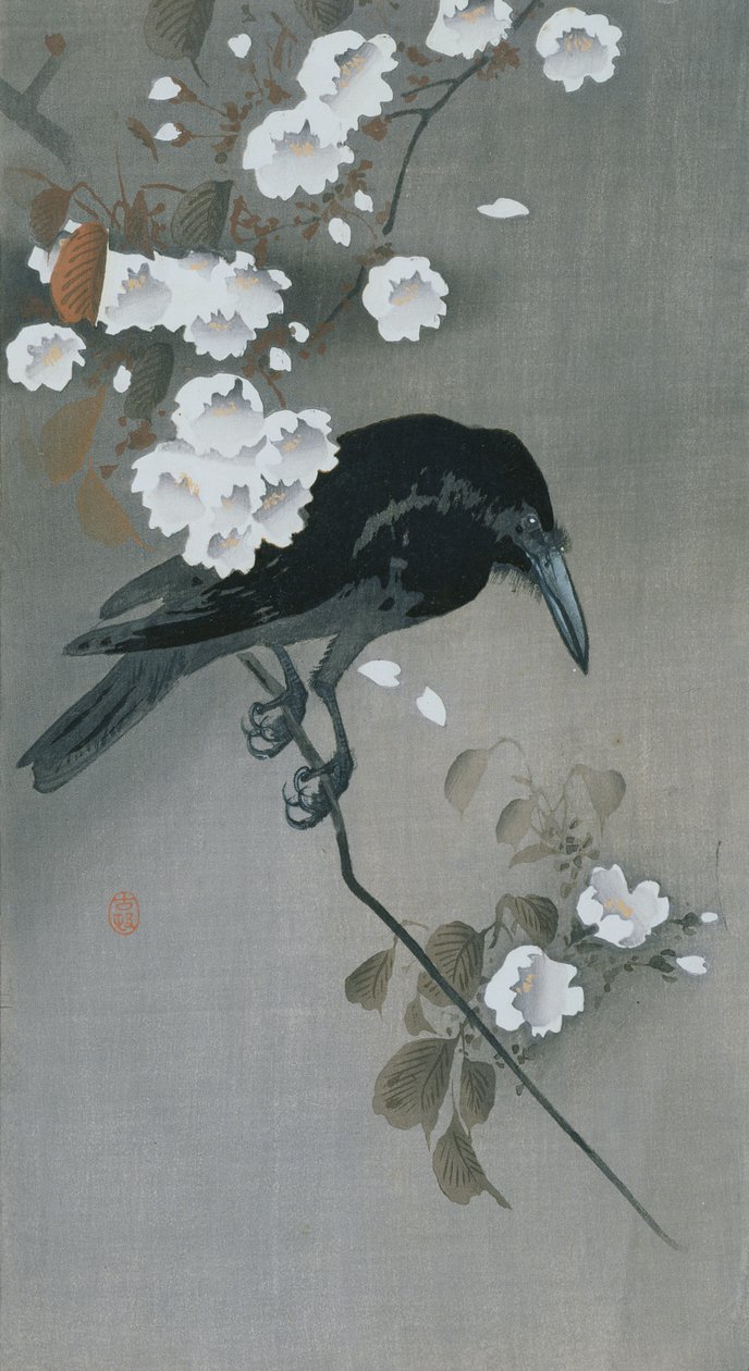 Corvo su un ramo di ciliegio in fiore da Ohara Koson
