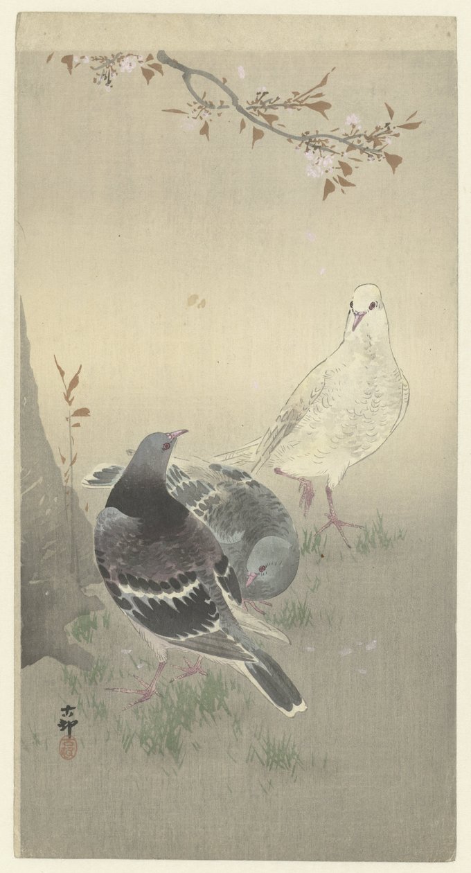 Tre colombe domestiche da Ohara Koson