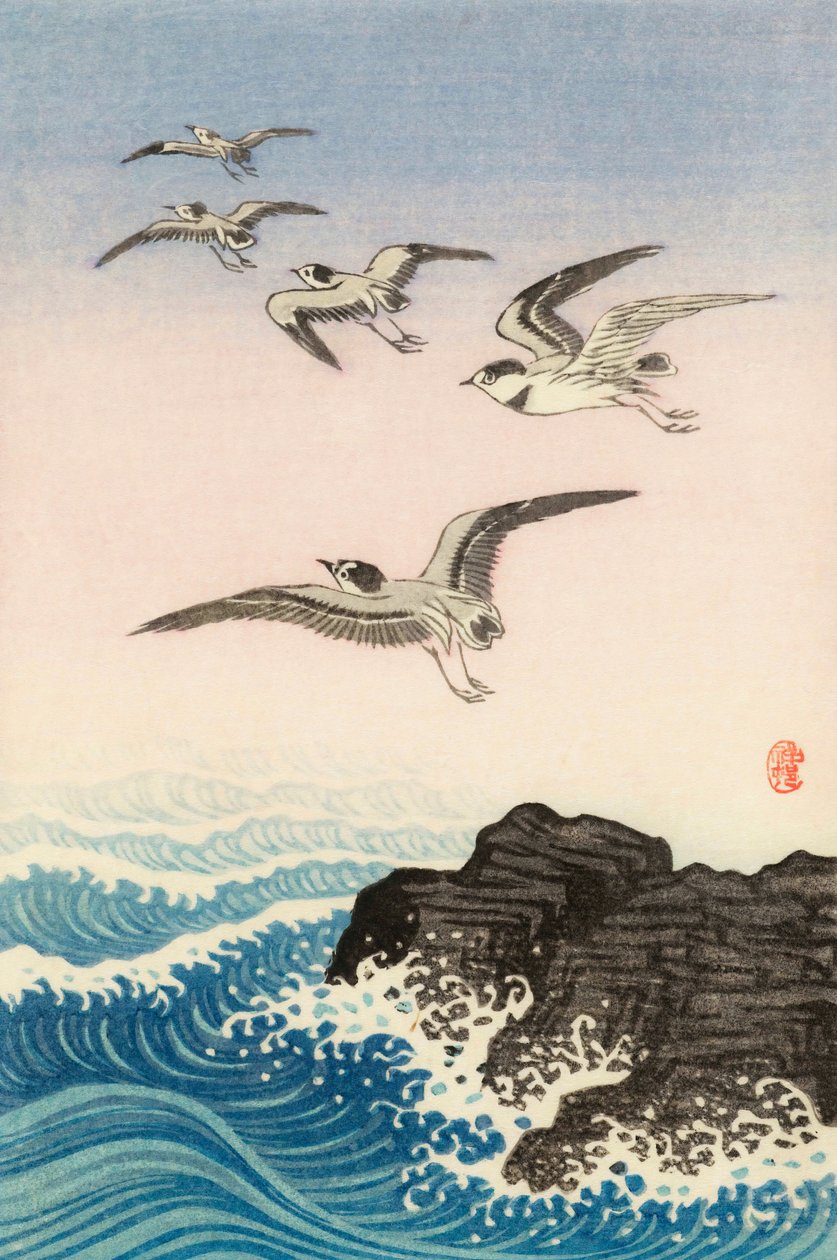 Cinque gabbiani sopra una roccia nel mare, XX secolo da Ohara Koson