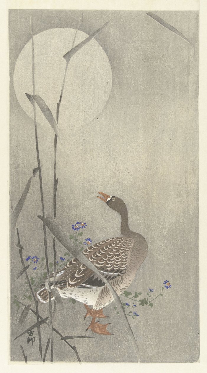 Oca alla luna piena da Ohara Koson
