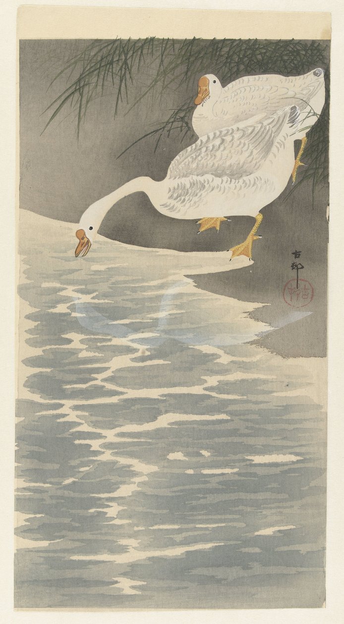 Oche sulla riva da Ohara Koson