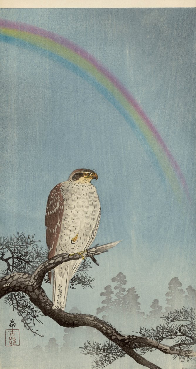 Astòre su un pino con un arcobaleno sopra da Ohara Koson