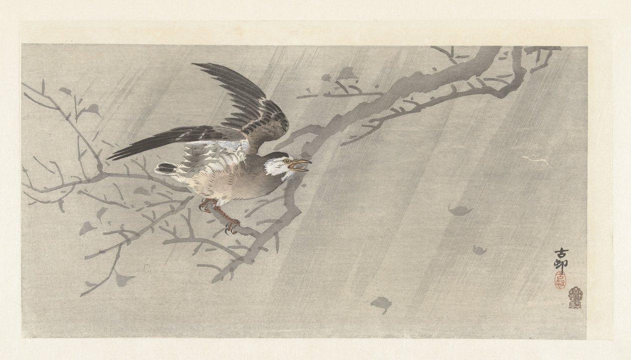 Storno grigio nella tempesta da Ohara Koson