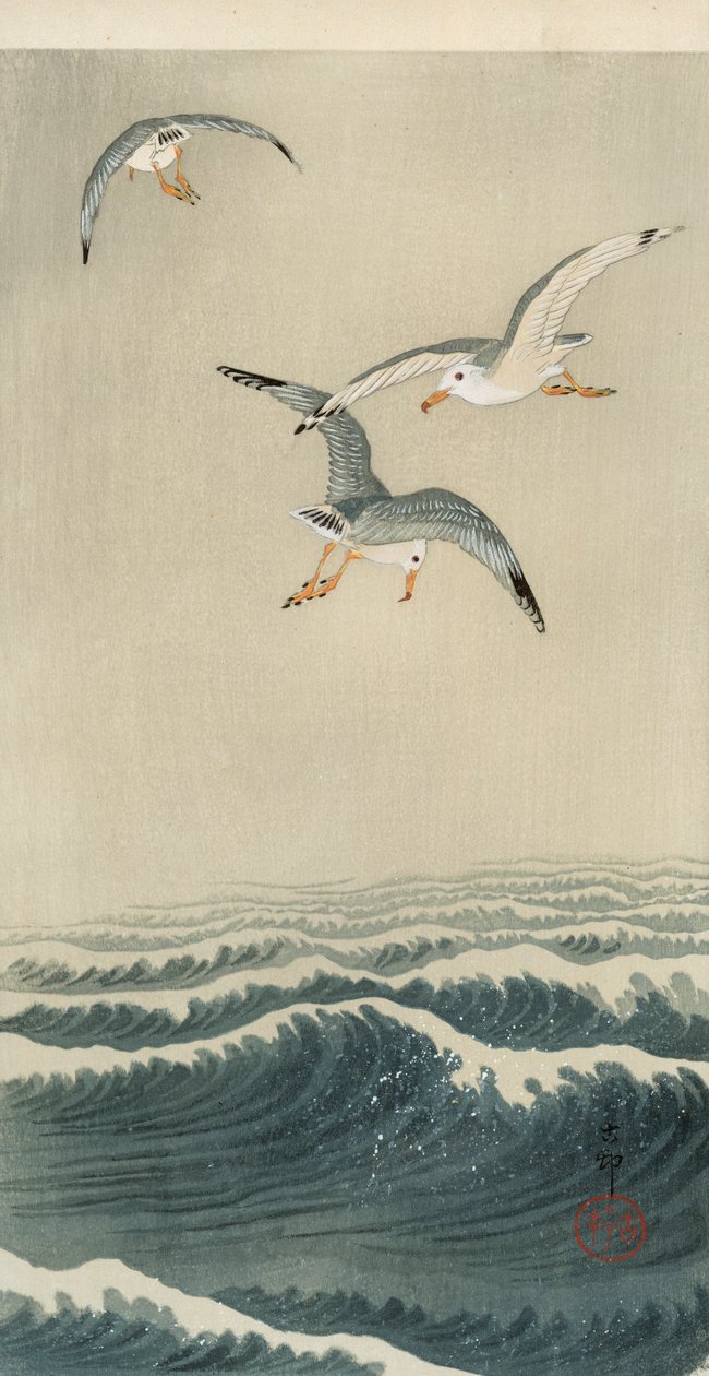 Gabbiani in mare da Ohara Koson