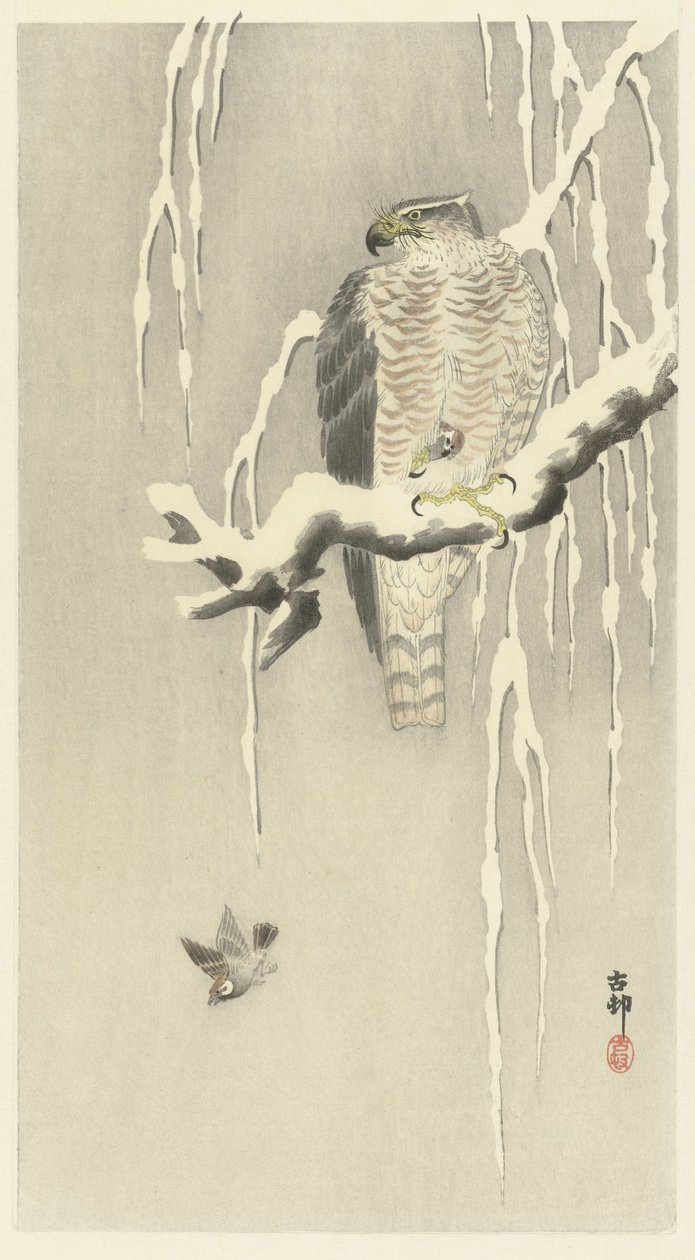 Falco con passero catturato da Ohara Koson