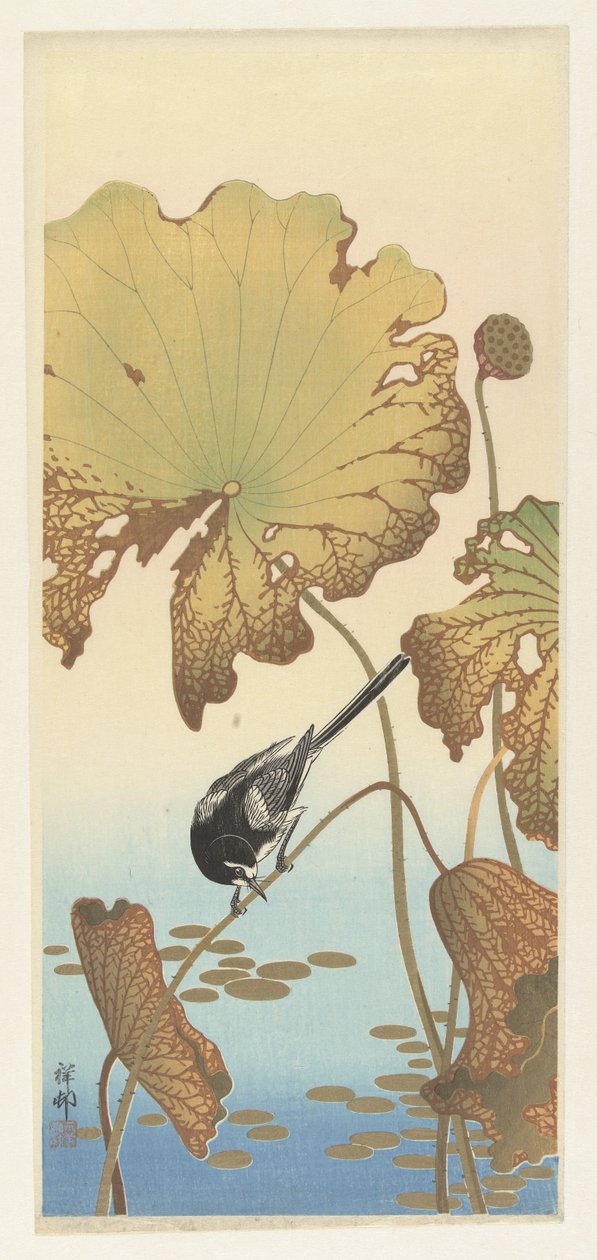 Ballerina giapponese su pianta di loto da Ohara Koson